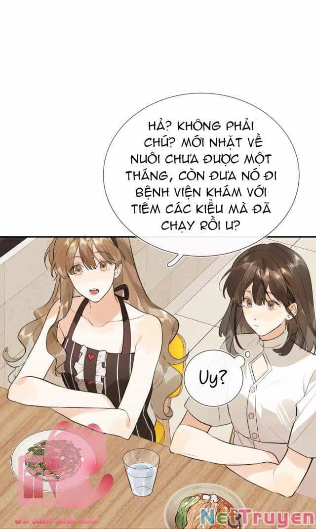 Tỏ Tình - Chương 10 - ảnh 11