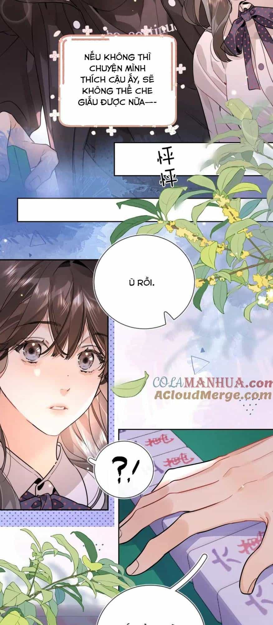 Tỏ Tình - Chương 22 - ảnh 12