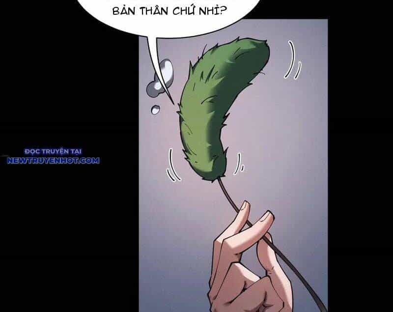 Toàn Chức Kiếm Tu - Chương 33 - ảnh 47