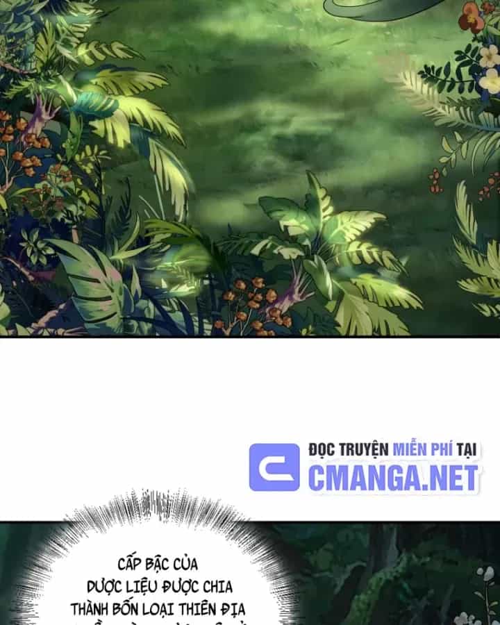 Toàn Trí Tu Tiên Giả - Chương 33 - ảnh 25