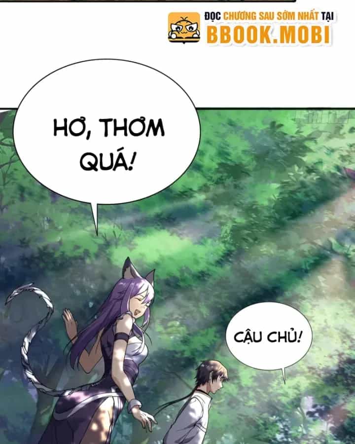 Toàn Trí Tu Tiên Giả - Chương 33 - ảnh 3
