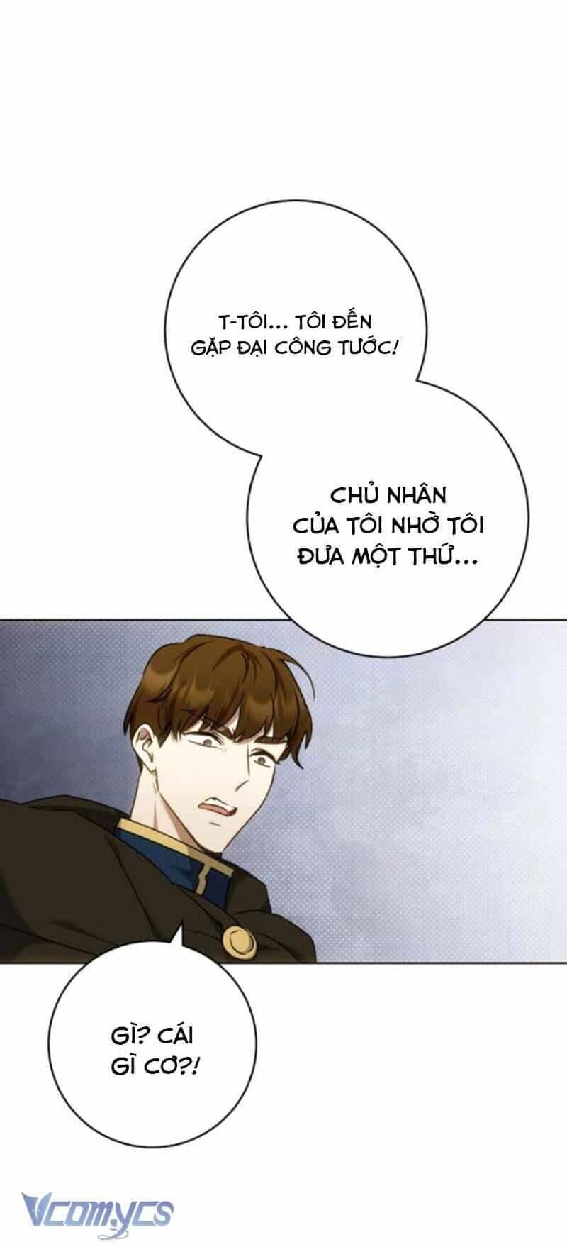 Tôi Bị Giật Chồng Những Hai Lần - Chương 9 - ảnh 13