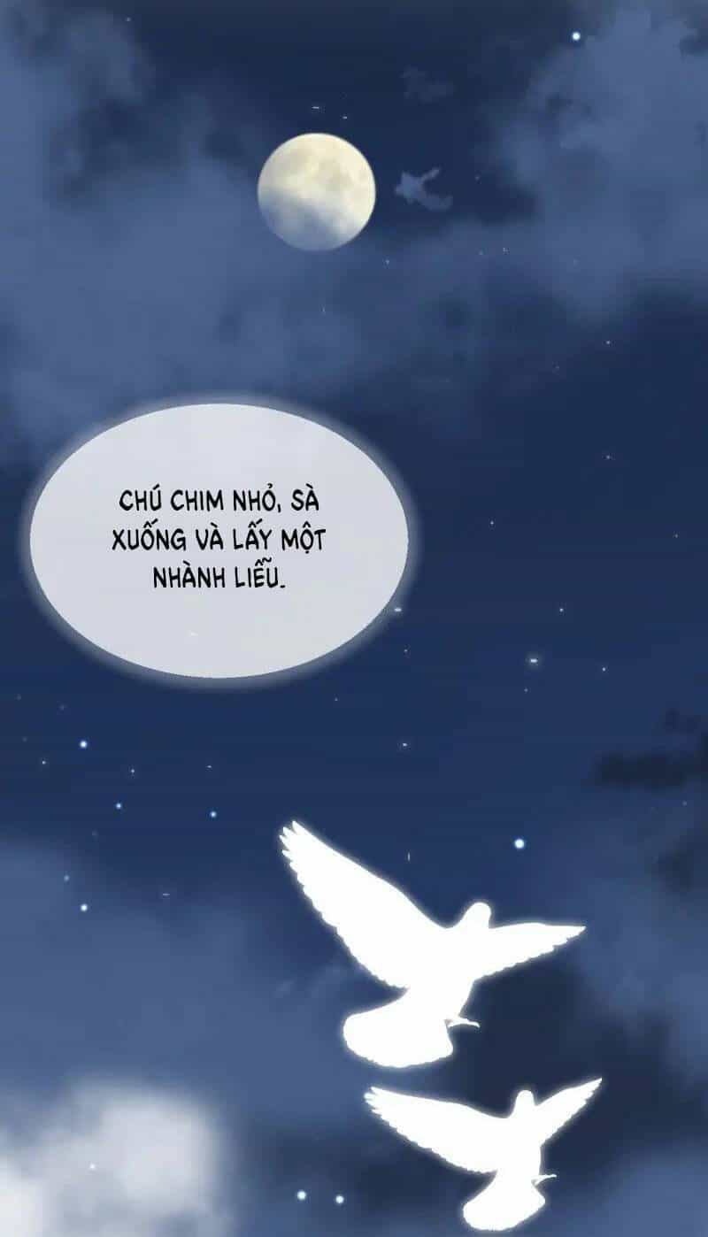 Tôi Chán Nản Vì Chồng Thứ Hai Không Chung Thủy - Chương 30.2 - ảnh 9