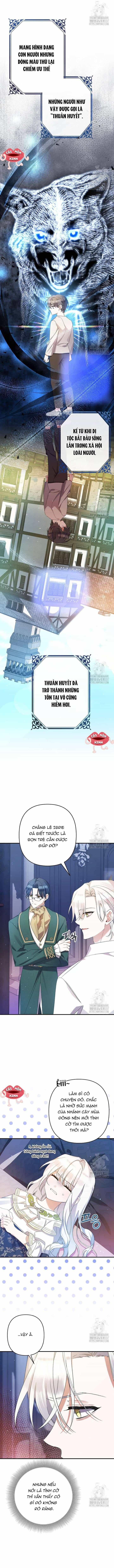 Tôi Chỉ Định Chăm Sóc Người Cha Ốm Yếu Của Mình Thôi Mà - Chương 20 - ảnh 5