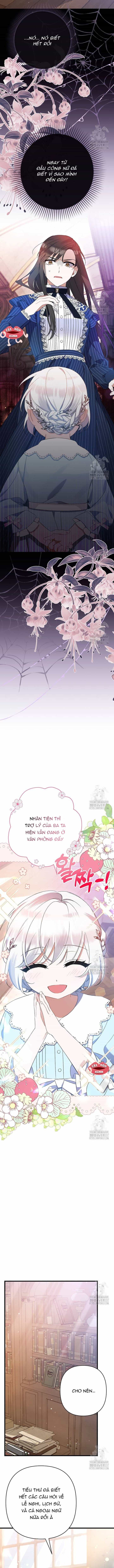 Tôi Chỉ Định Chăm Sóc Người Cha Ốm Yếu Của Mình Thôi Mà - Chương 8 - ảnh 5