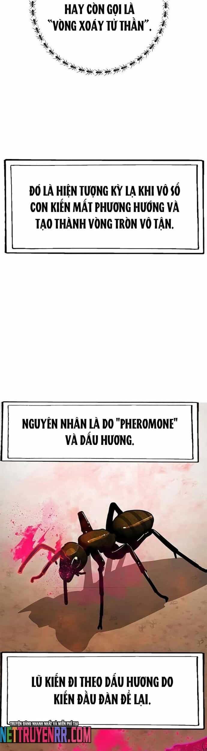 Tôi Chỉ Là Người Khuân Vác Trong Hầm Ngục - Chương 22 - ảnh 21
