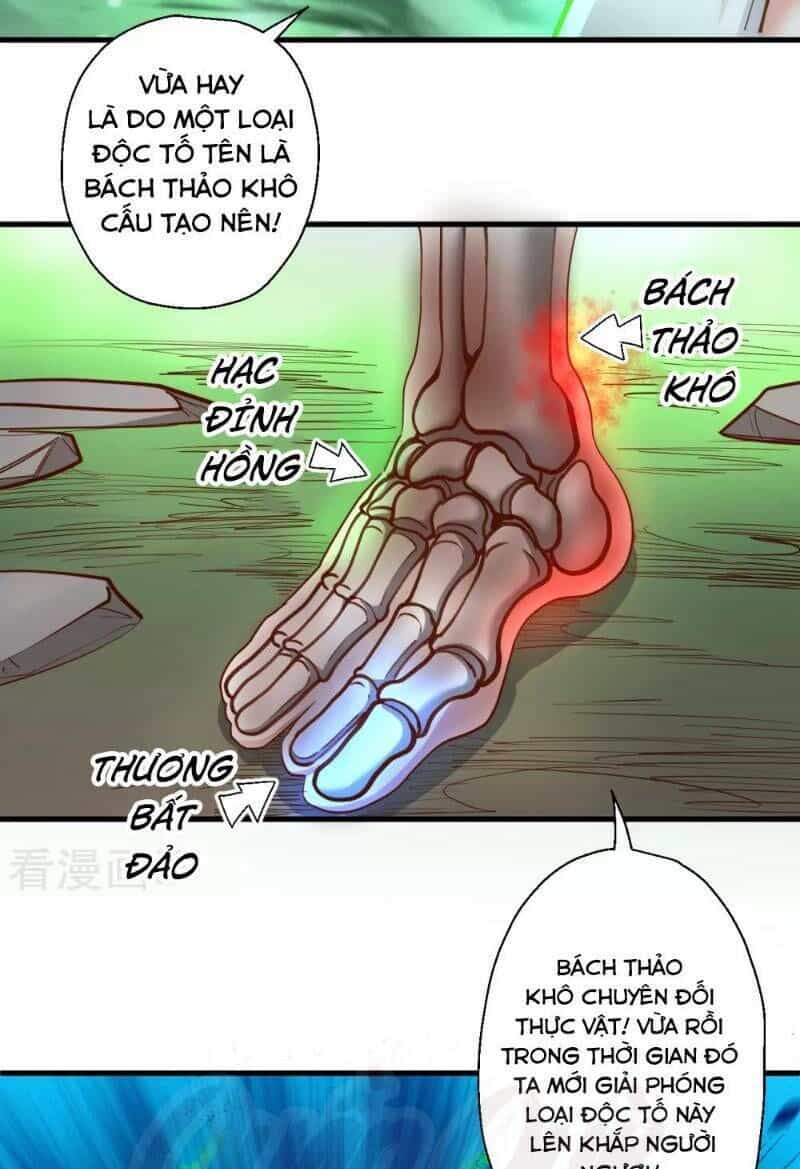Tối Cường Đại Biểu Hoàng Kim Thận - Chương 68 - ảnh 9