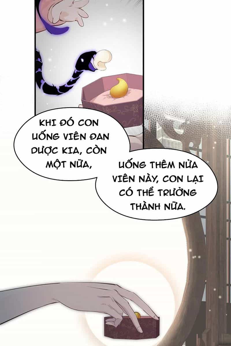 Tối Cường Thiên Đế Hệ Thống - Chương 21 - ảnh 41