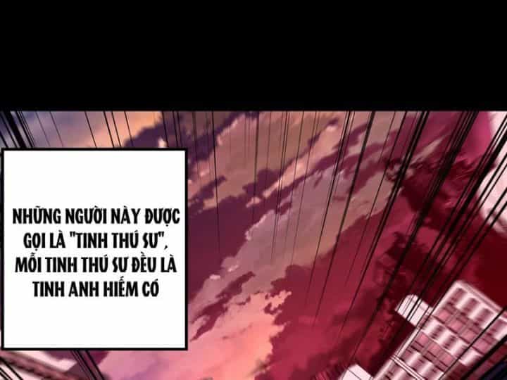 Tối Cường Tinh Thú Sư - Chương 1 - ảnh 14
