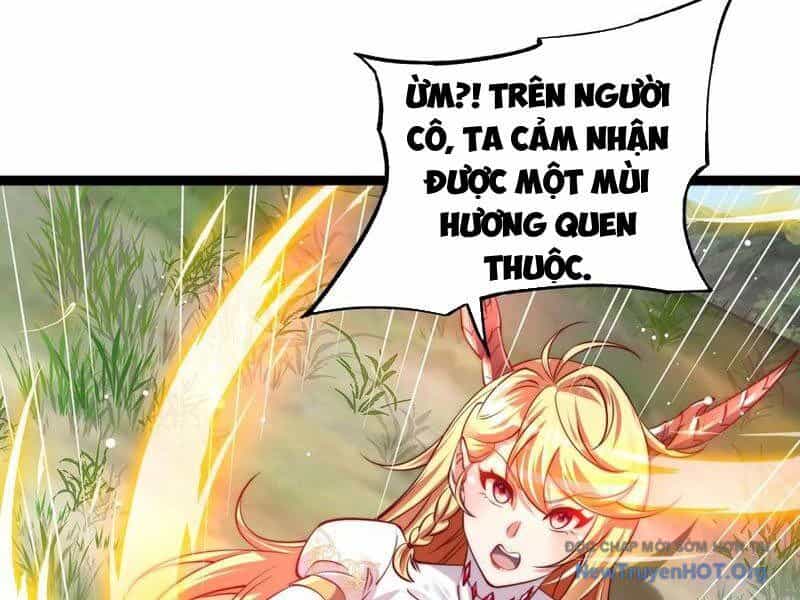 Tối Cường Tinh Thú Sư - Chương 15 - ảnh 65