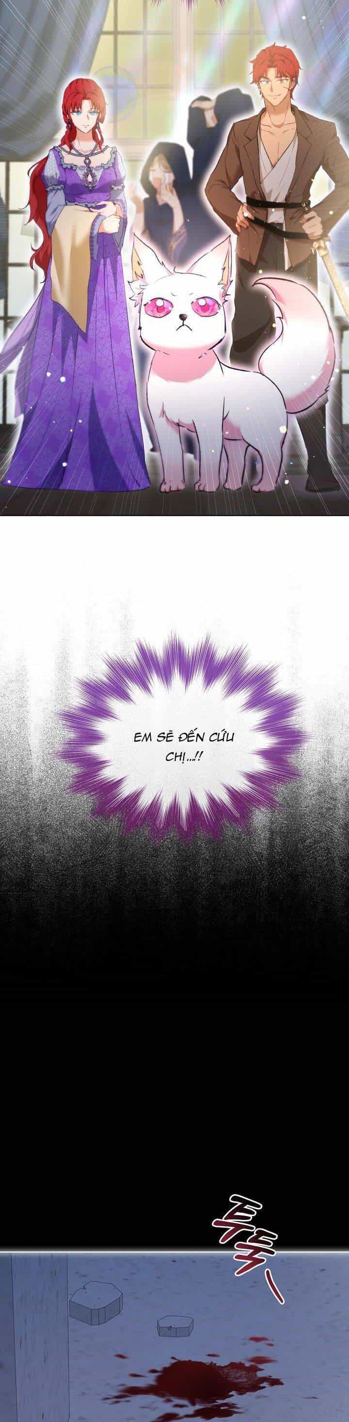 Tôi Đã Tái Sinh Thành Bé Cáo Của Thần - Chương 41 - ảnh 24