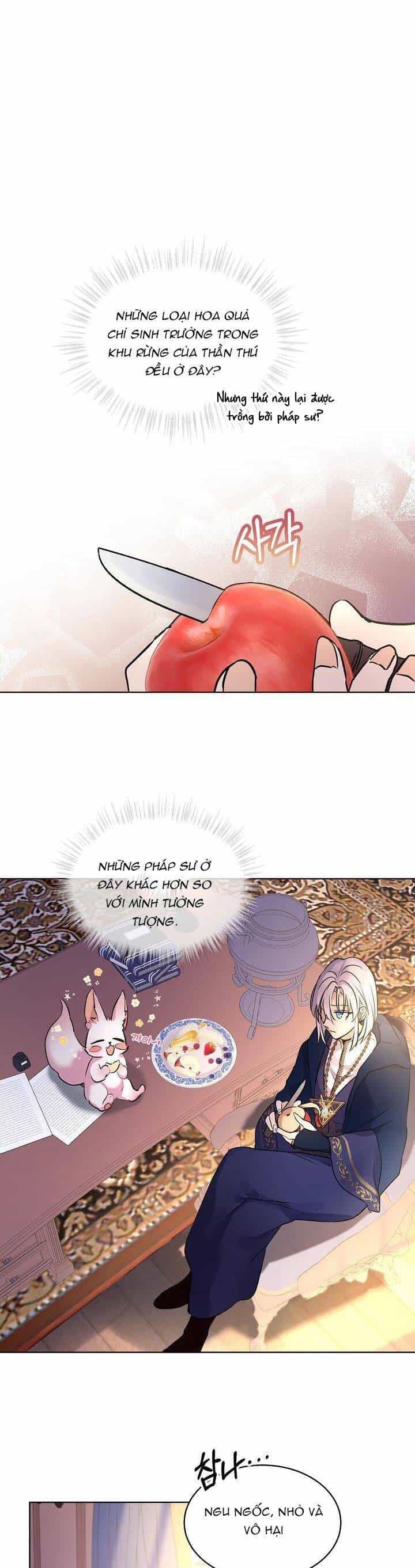 Tôi Đã Tái Sinh Thành Bé Cáo Của Thần - Chương 4 - ảnh 17