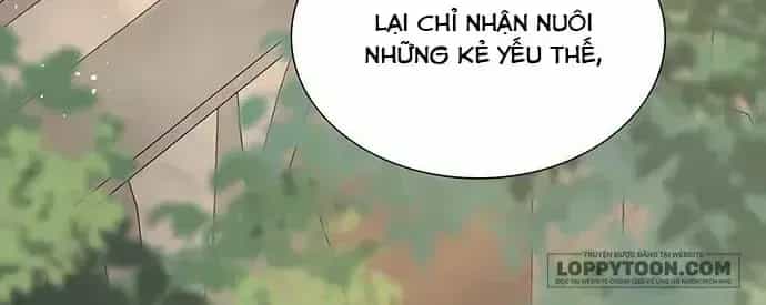 Tôi Được Sinh Ra Là Con Gái Thứ Hai - Chương 99 - ảnh 14