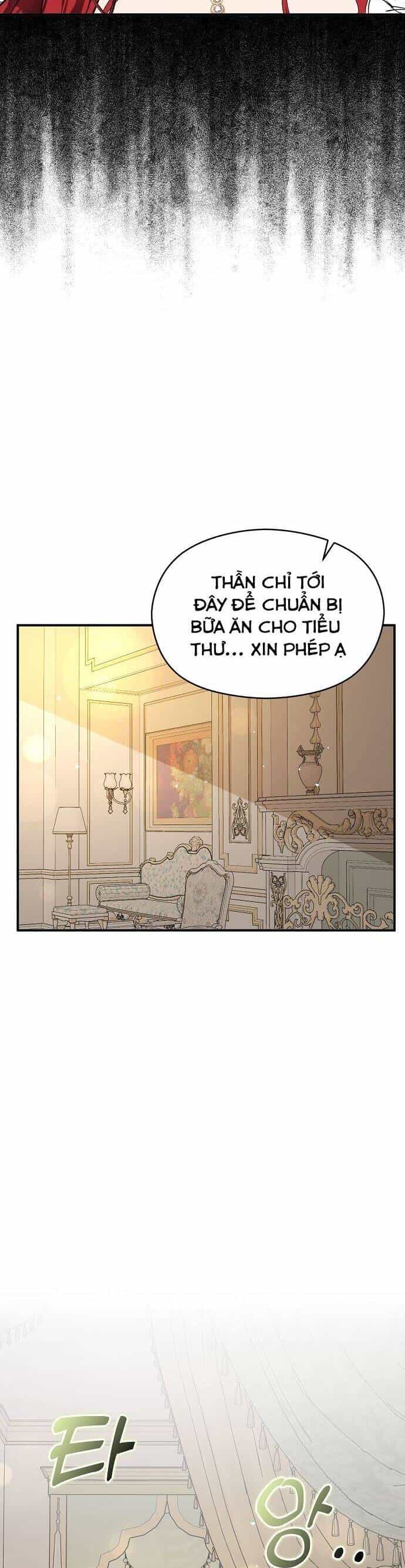 Tôi Không Cố Ý Quyến Rũ Nam Chính Đâu! - Chương 65 - ảnh 15