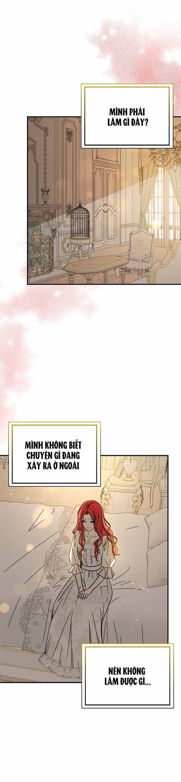 Tôi Không Cố Ý Quyến Rũ Nam Chính Đâu! - Chương 65 - ảnh 21