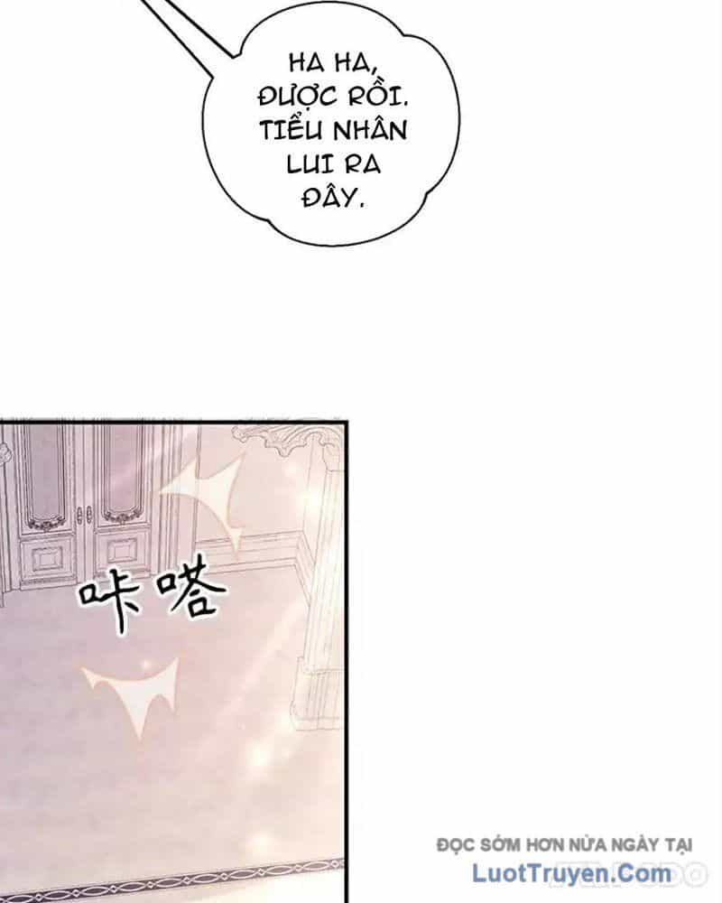 Tôi May Mắn Triệu Hồi Được Tinh Linh Hộ Vệ Hạng 10 - Chương 38 - ảnh 40
