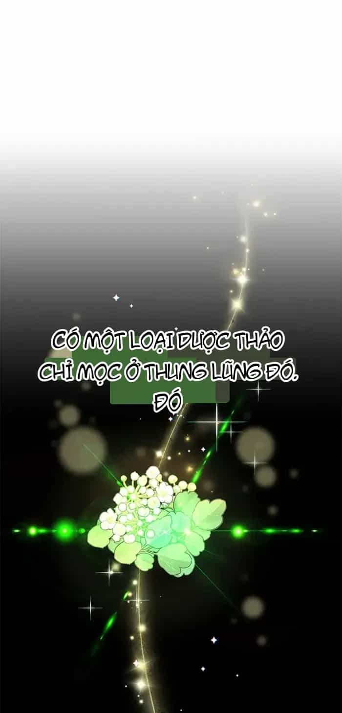 Tôi May Mắn Triệu Hồi Được Tinh Linh Hộ Vệ Hạng 10 - Chương 55 - ảnh 84