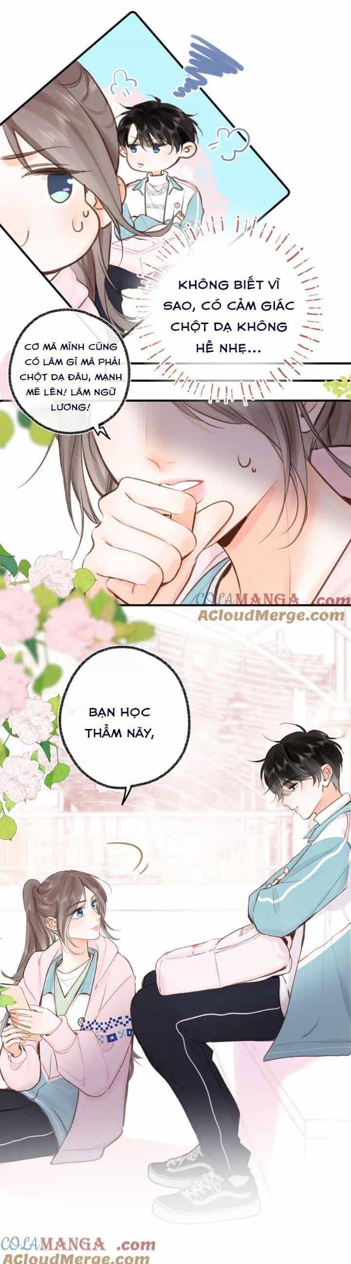 Tôi Mộng Giữa Ban Ngày - Chương 48 - ảnh 14