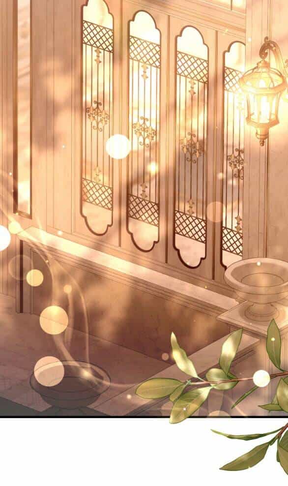 Tôi Sẽ Biến Anh Ta Từ Một Con Chó Điên Thành Một Chàng Quý Tộc - Chương 27 - ảnh 53