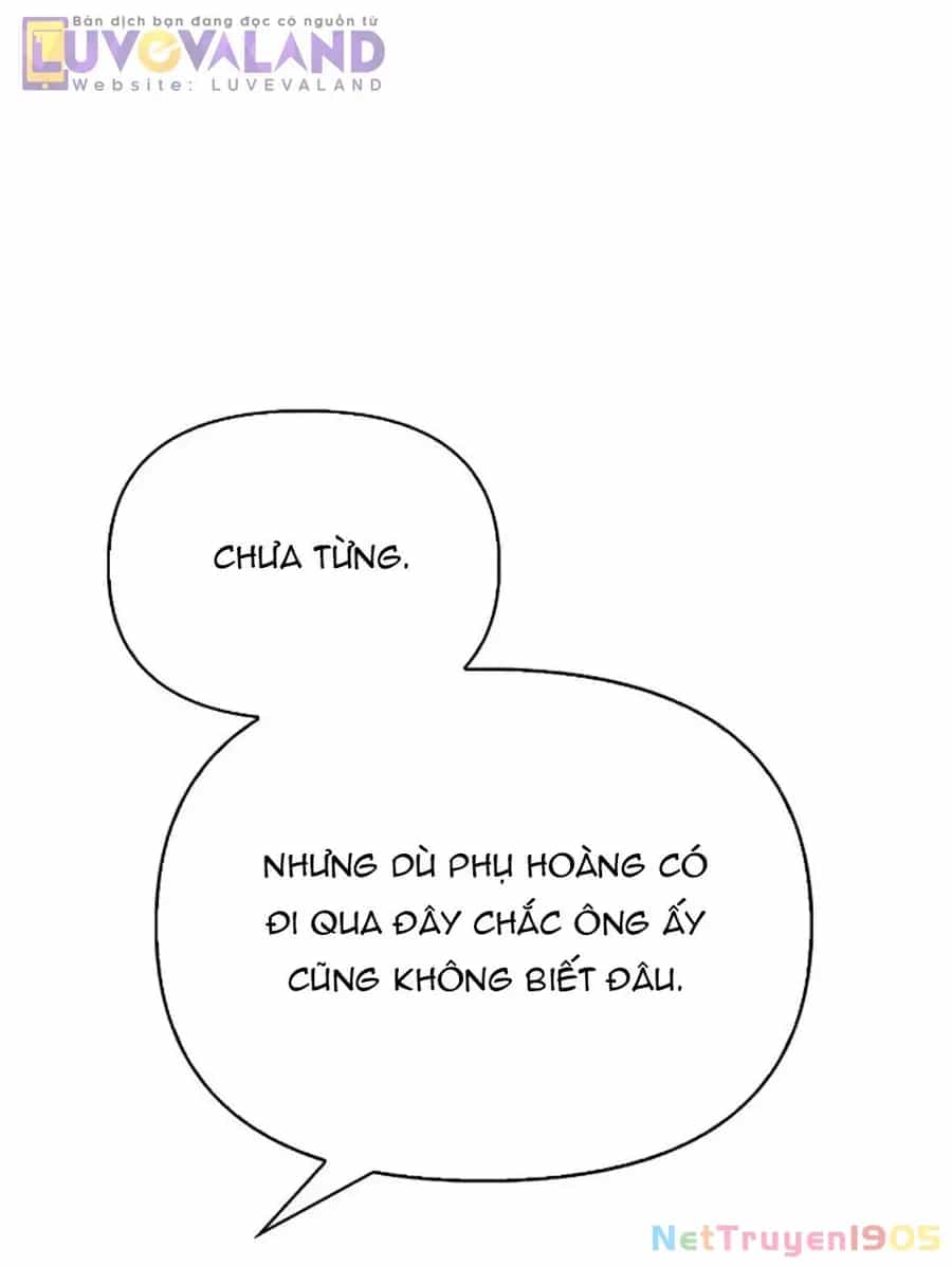 Tôi Thuần Hóa Chó Điên Của Chồng Cũ - Chương 110 - ảnh 20