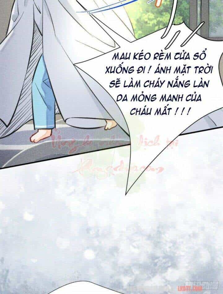 Tôi Trở Thành Tổ Tông Của 5 Vị Đại Lão - Chương 4 - ảnh 43