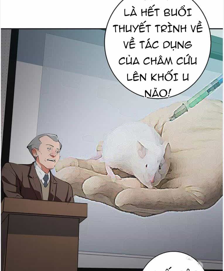 Tôi Viết Sách Để Thăng Cấp - Chương 96 - ảnh 33
