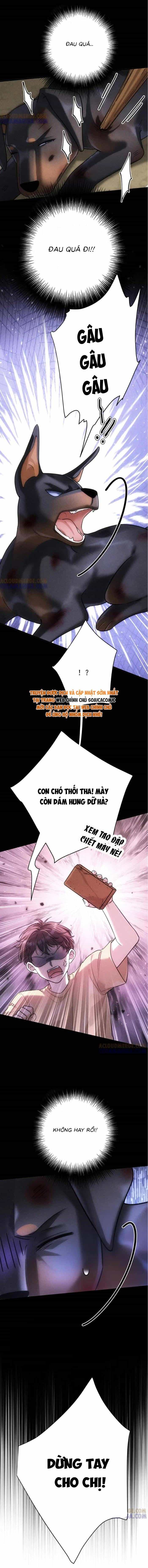 Tổng Tài Chó - Chương 47 - ảnh 4