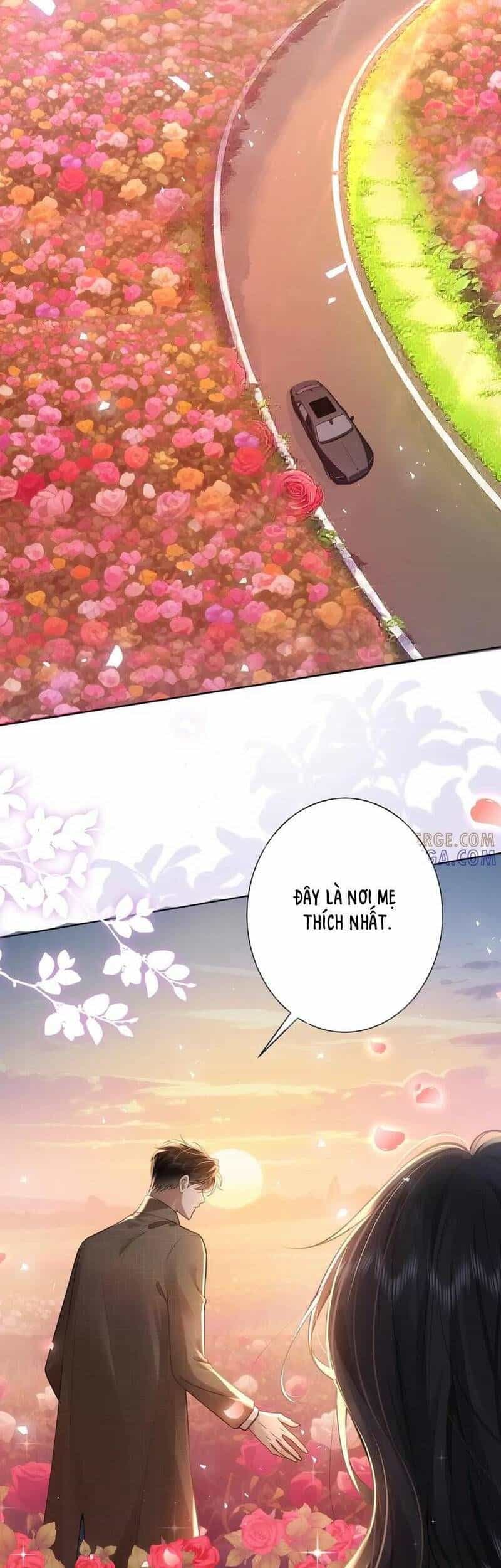 Tổng Tài Cố Chấp Xin Hãy Buông Tha Tôi - Chương 28 - ảnh 16