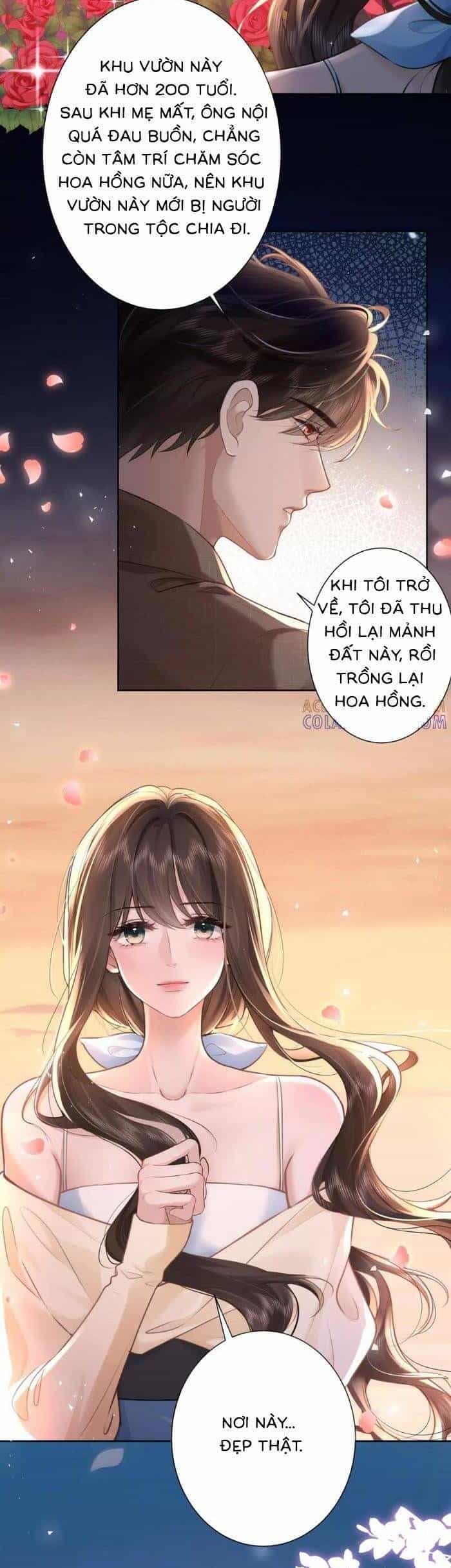 Tổng Tài Cố Chấp, Xin Hãy Buông Tha - Chương 28 - ảnh 16