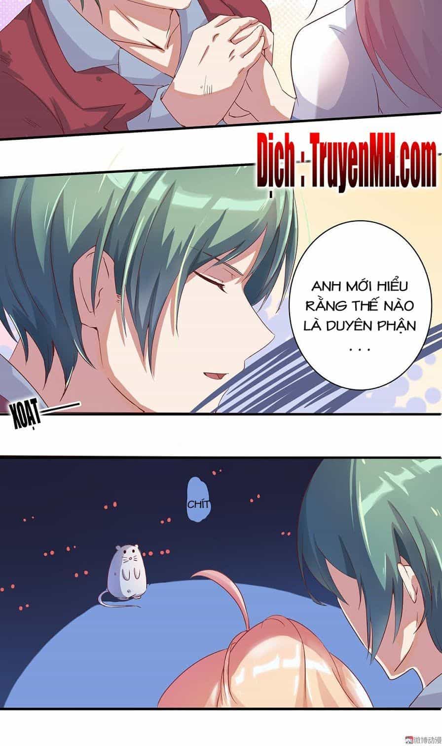Tổng Tài! Đừng Trả Hàng Nha! - Chương 26 - ảnh 6