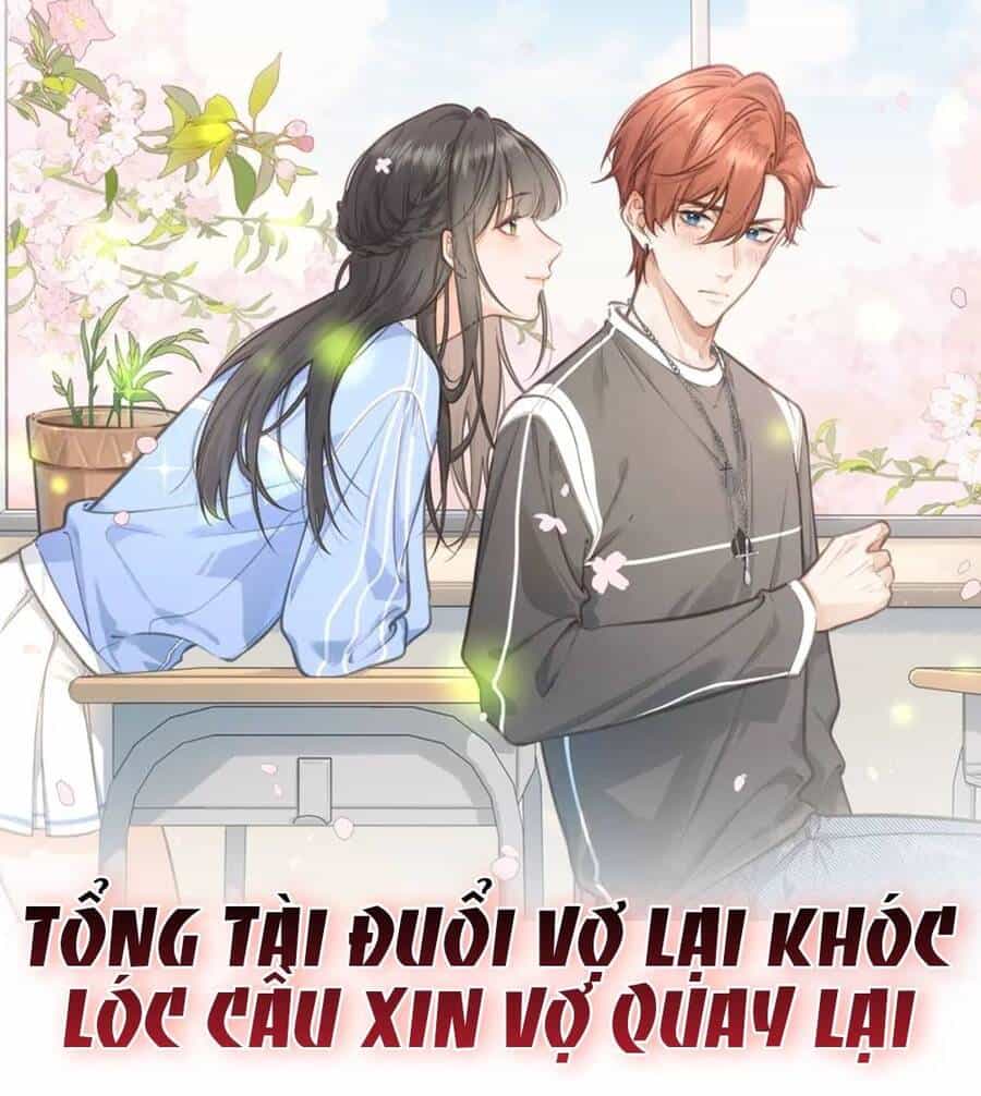 Tổng Tài Đuổi Vợ Lại Khóc Lóc Cầu Xin Vợ Quay Lại - Chương 2 - ảnh 2