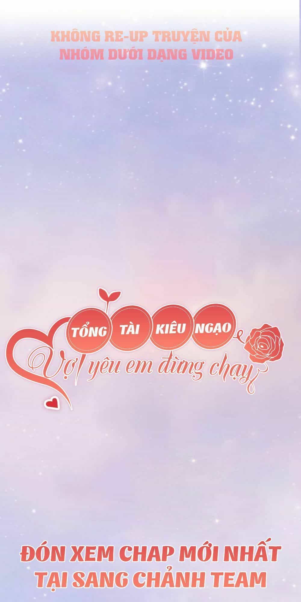 Tổng Tài Kiêu Ngạo: Vợ Yêu Em Đừng Chạy - Chương 0 - ảnh 19