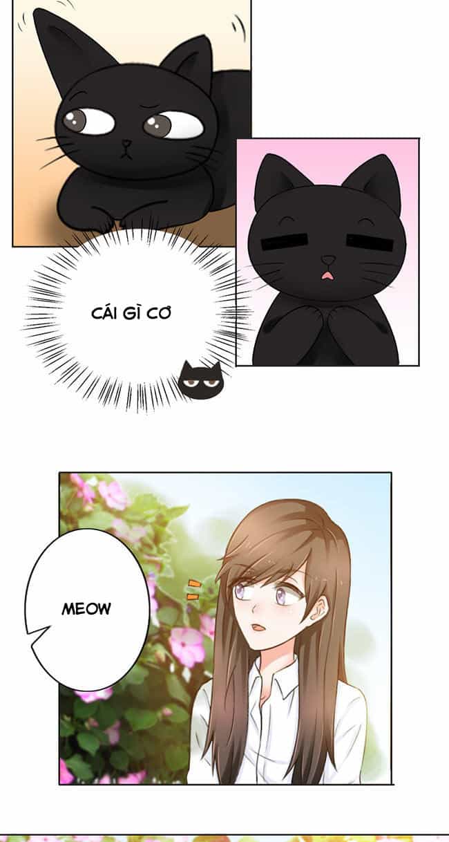 Tổng Tài Ma Cà Rồng Tha Cho Tôi - Chương 23 - ảnh 8