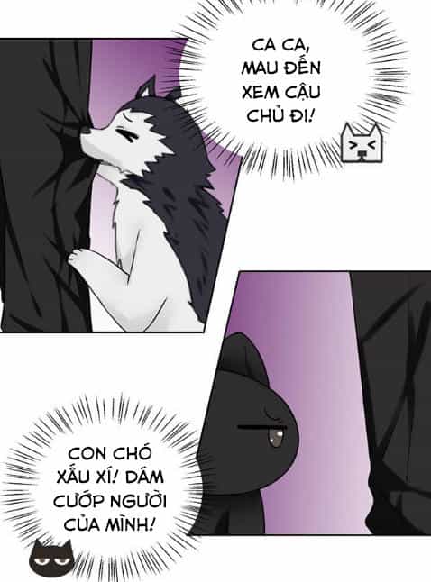 Tổng Tài Ma Cà Rồng Tha Cho Tôi - Chương 34 - ảnh 5