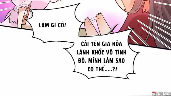 Tổng Tài Truy Thê: Phu Nhân Đừng Hòng Trốn - Chương 27 - ảnh 6
