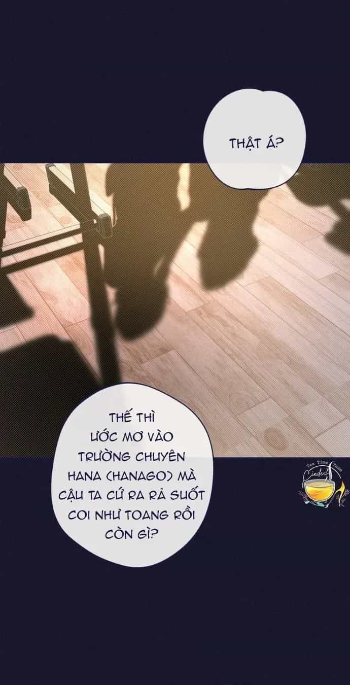 Trắc Nghiệm 4 Lựa Chọn - Chương 22 - ảnh 28