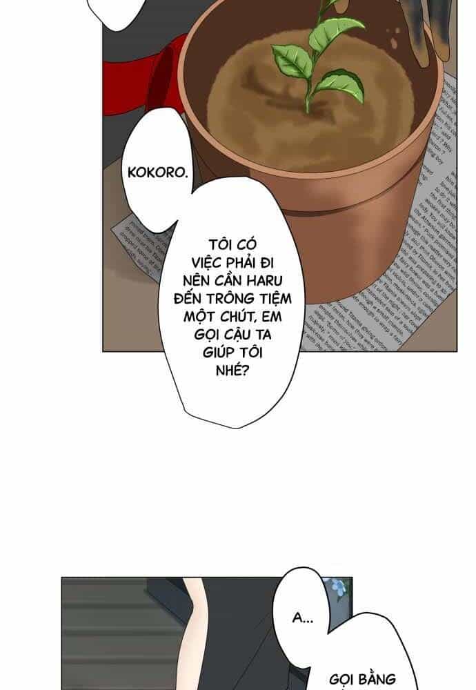 Trái Tim Của Luce - Chương 10 - ảnh 16