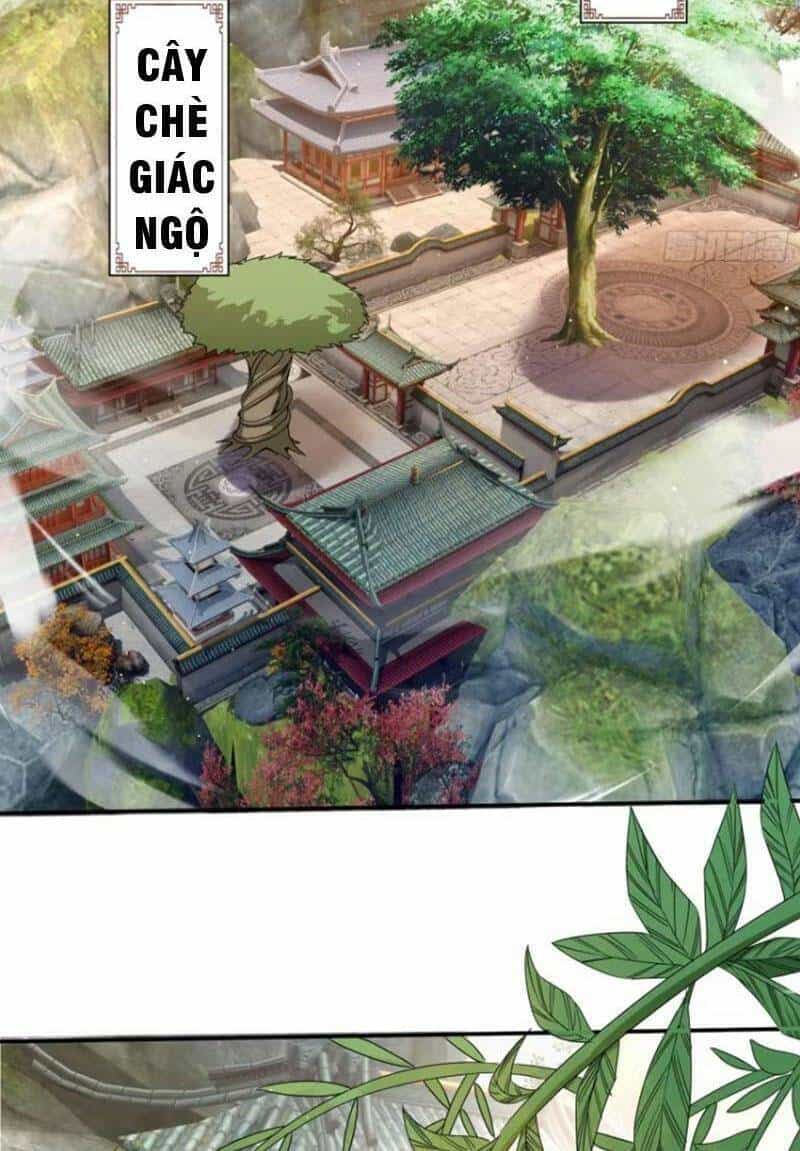 Trăm Tuổi Mở Hệ Thống, Hiếu Tử Hiền Tôn Quỳ Khắp Núi! - Chương 18 - ảnh 50