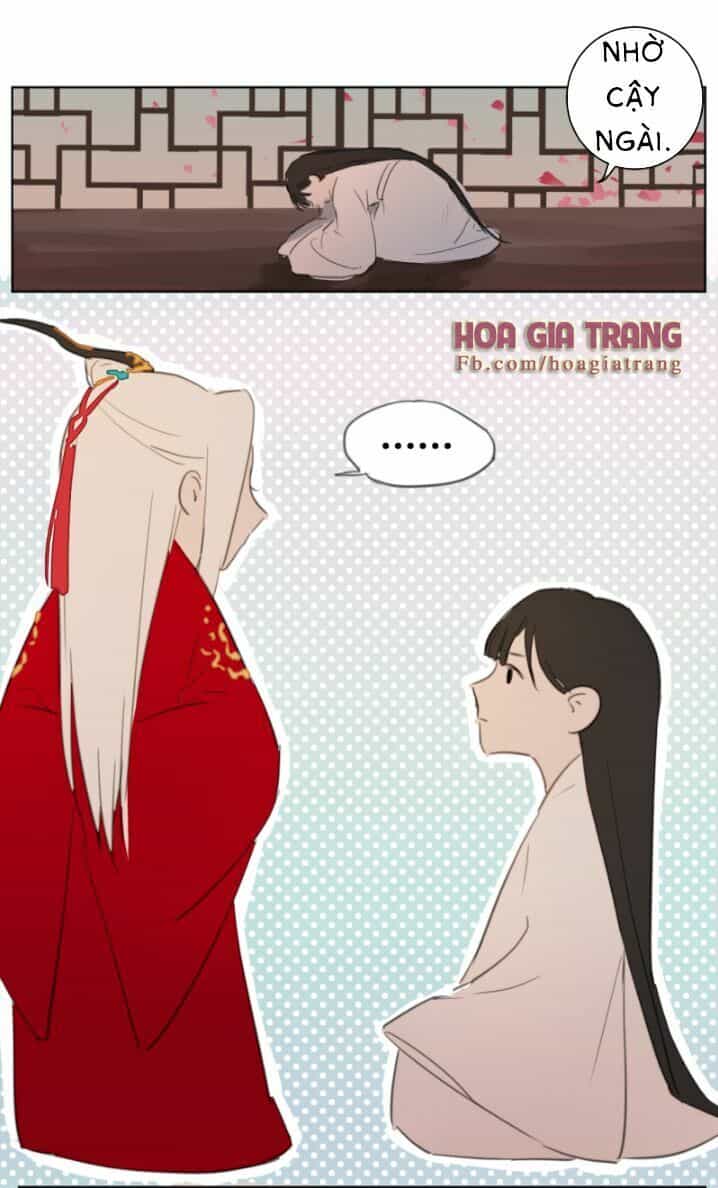 Trần Tình Phú - Chương 1 - ảnh 13