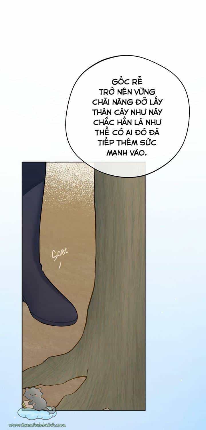 Trang Trại Hạt Dẻ Gần Cung Điện Hoàng Gia - Chương 17 - ảnh 52