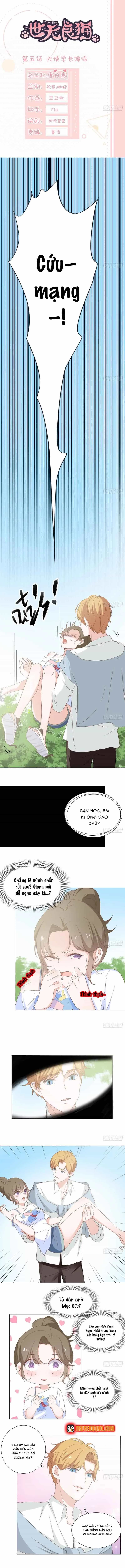 Trên Đời Không Có Mèo Tốt - Chương 5 - ảnh 3