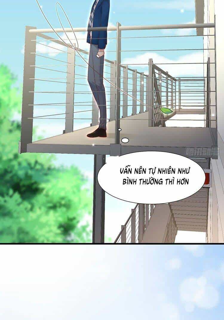 Triều Tây, Con Thích Chú - Chương 47 - ảnh 13