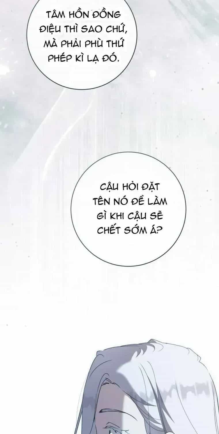 Trở Thành Cô Cháu Gái Bị Khinh Miệt Của Gia Tộc Võ Lâm - Chương 94.5 - ảnh 77