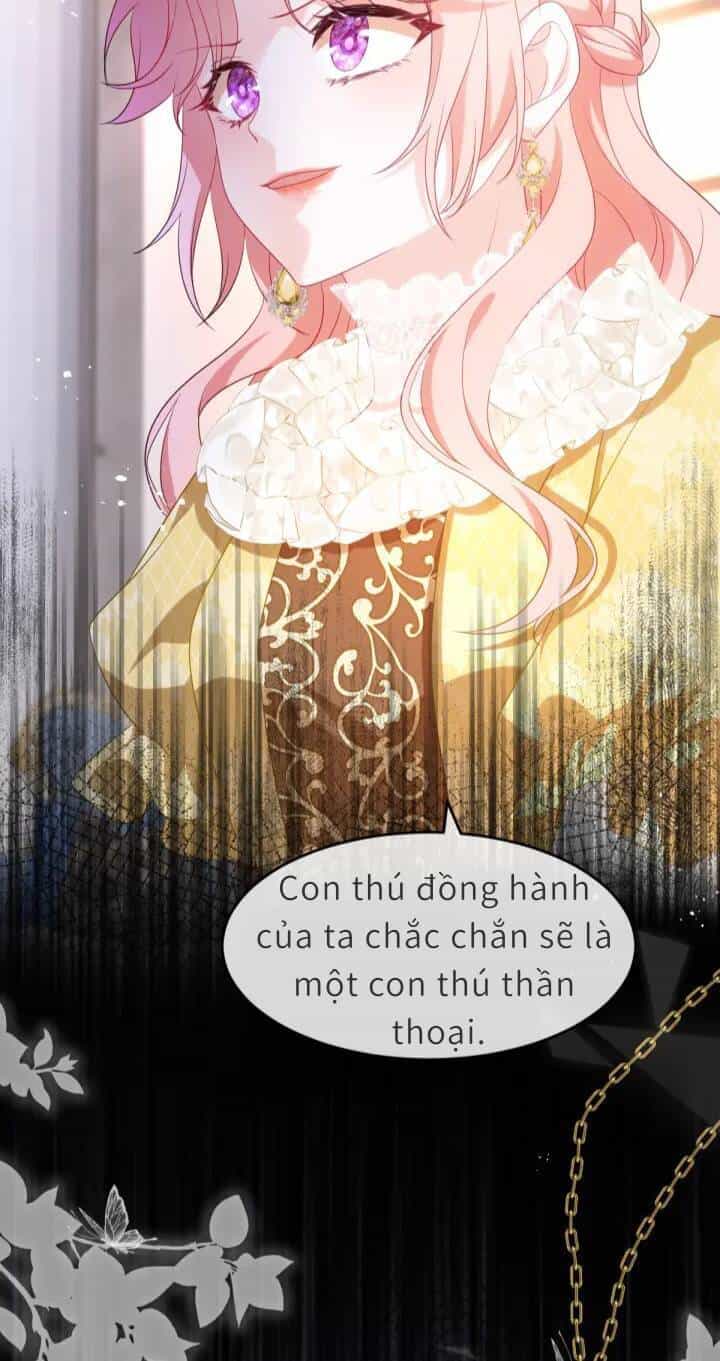 Trở Thành Đòan Sủng Về Sau, Ta Đại Sát Tứ Phương - Chương 2 - ảnh 40
