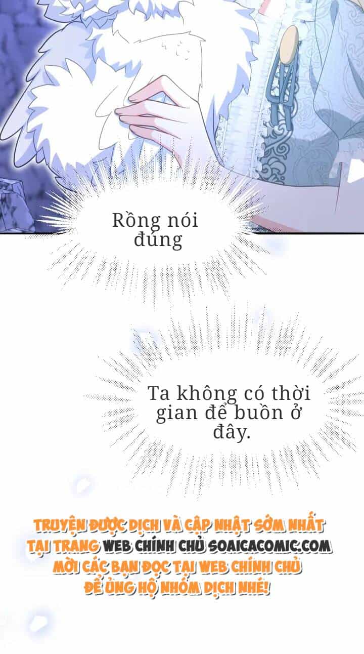 Trở Thành Đòan Sủng Về Sau, Ta Đại Sát Tứ Phương - Chương 5 - ảnh 15