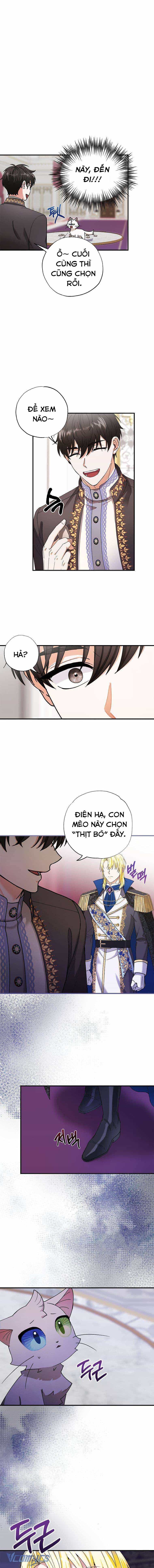 Trở Thành Miêu Nữ Của Hoàng Đế - Chương 1 - ảnh 7