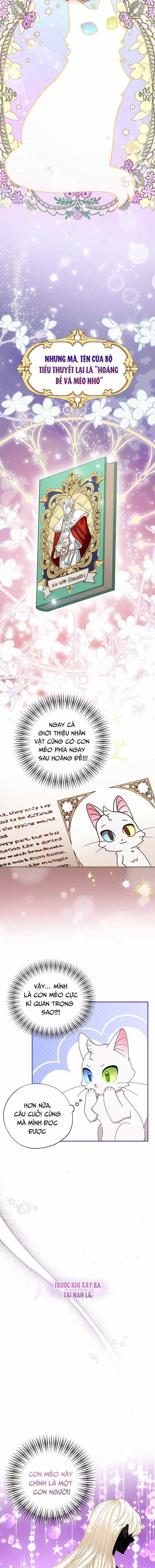 Trở Thành Miêu Nữ Của Hoàng Đế - Chương 2 - ảnh 7