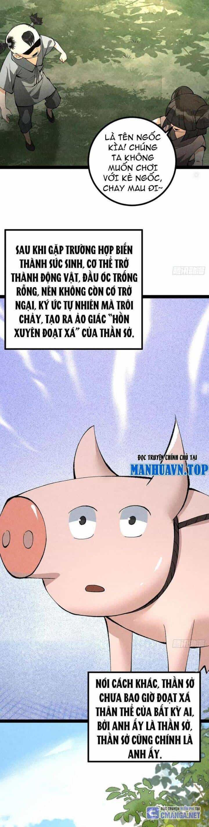 Trở Thành Tiên Bắt Đầu Từ Việc Xuyên Không Thành... Heo - Chương 37 - ảnh 2