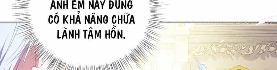 Trở Thành Tình Địch Của Các Nam Chính - Chương 2 - ảnh 18