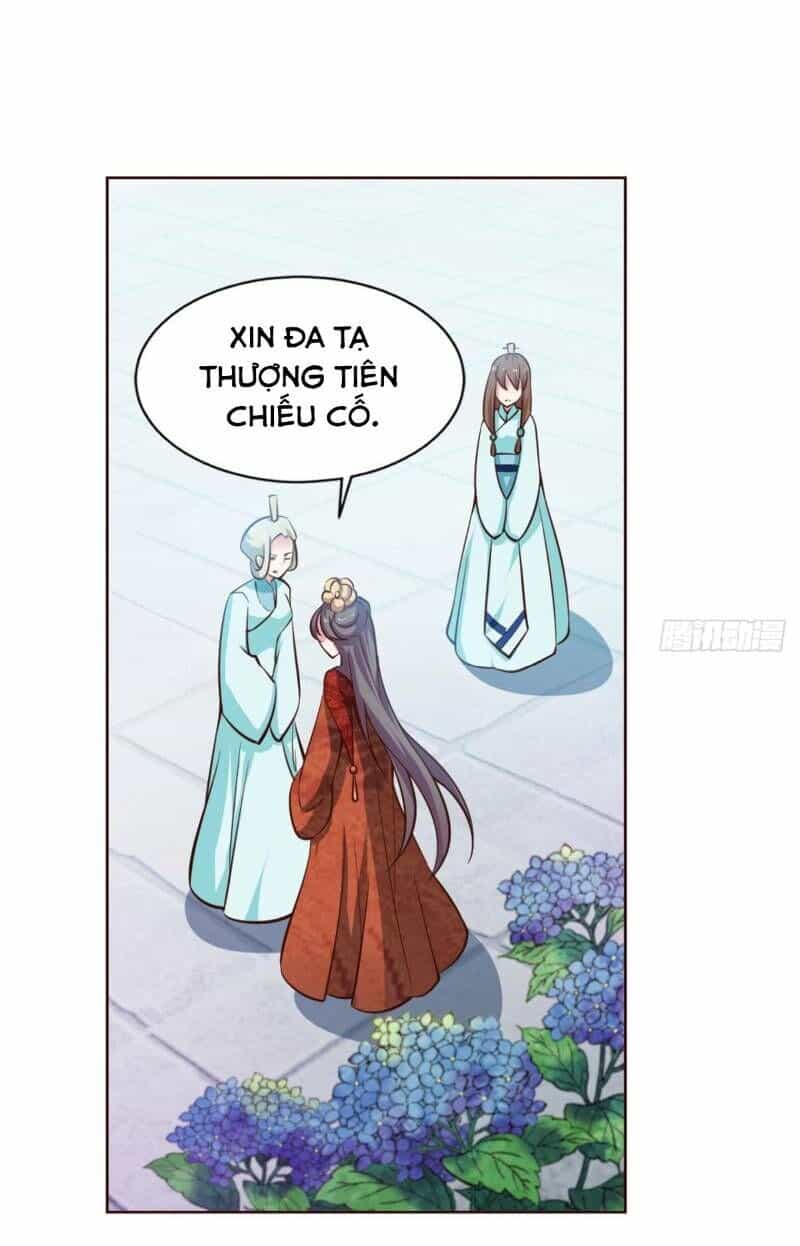 Trọng Sinh Thành Cậu Vàng Tại Dị Thế - Chương 69 - ảnh 8